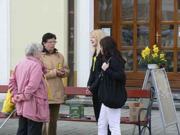Deň narcisov 2010 Deň narcisov 2010