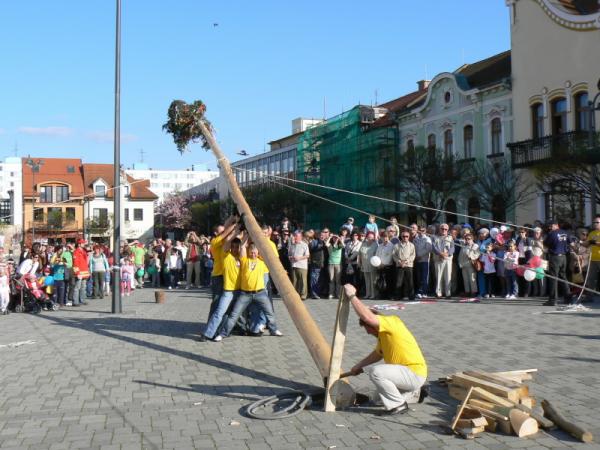 Stavanie mája 2010 Stavanie mája 2010