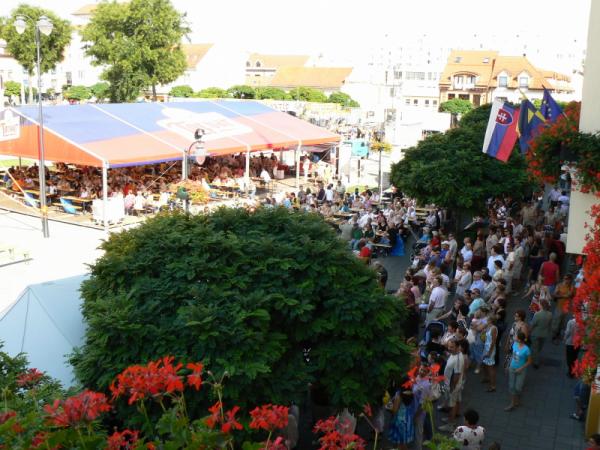Topoľčianske hody 2009 Topoľčianske hody 2009