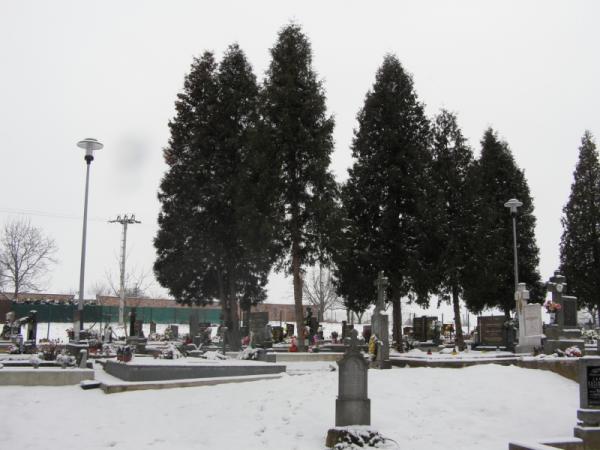 Budovanie a modernizácia verejného osvetlenia v Malých a Veľkých Bedzanoch Budovanie a modernizácia verejného osvetlenia v Malých a Veľkých Bedzanoch