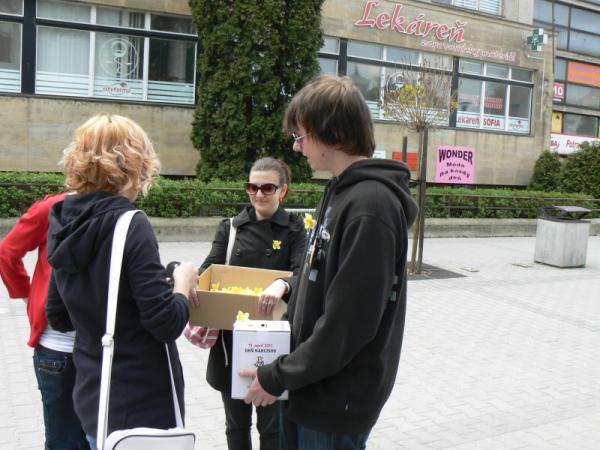 Deň narcisov 2011 Deň narcisov 2011