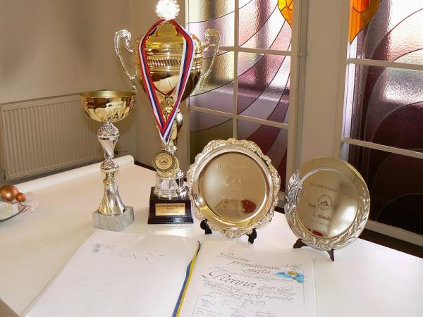 Prijatie primátorom mesta - Vodnopólové družstvo žien PIRANA Sport Club Topoľčany Prijatie primátorom mesta - Vodnopólové družstvo žien PIRANA Sport Club Topoľčany