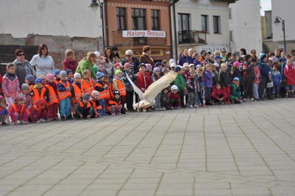 Sokoliarske vystupenie 13.4.2015 Sokoliarske vystupenie 13.4.2015