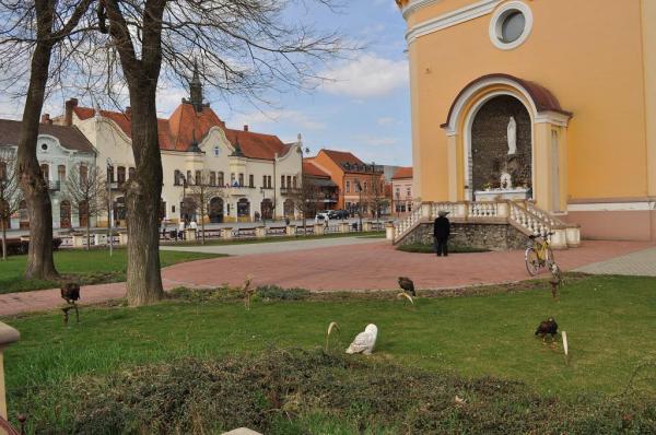 Sokoliarske vystupenie 13.4.2015 Sokoliarske vystupenie 13.4.2015