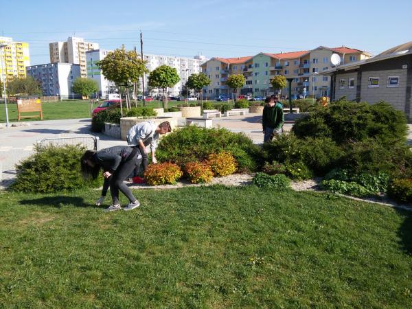 Čistenie okolia oddychovej zóny Margarétka v rámci Čistenie okolia oddychovej zóny Margarétka v rámci
