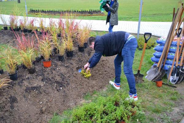 Výsadba zelene v rámci projektu: Zlepšenie kvality Výsadba zelene v rámci projektu: Zlepšenie kvality