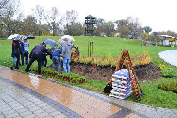 Výsadba zelene v rámci projektu: Zlepšenie kvality Výsadba zelene v rámci projektu: Zlepšenie kvality