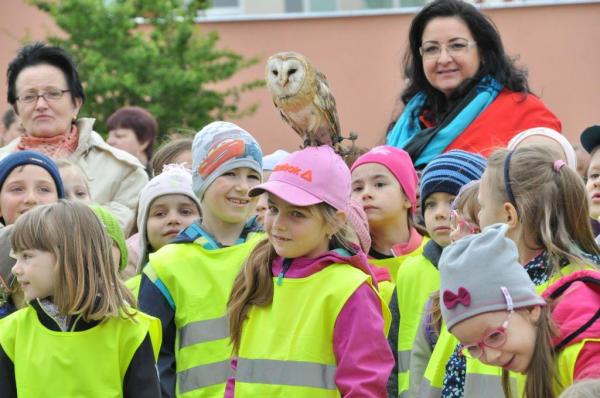 Vystúpenie sokoliarov na Námestí M. R. Štefánika ( Vystúpenie sokoliarov na Námestí M. R. Štefánika (