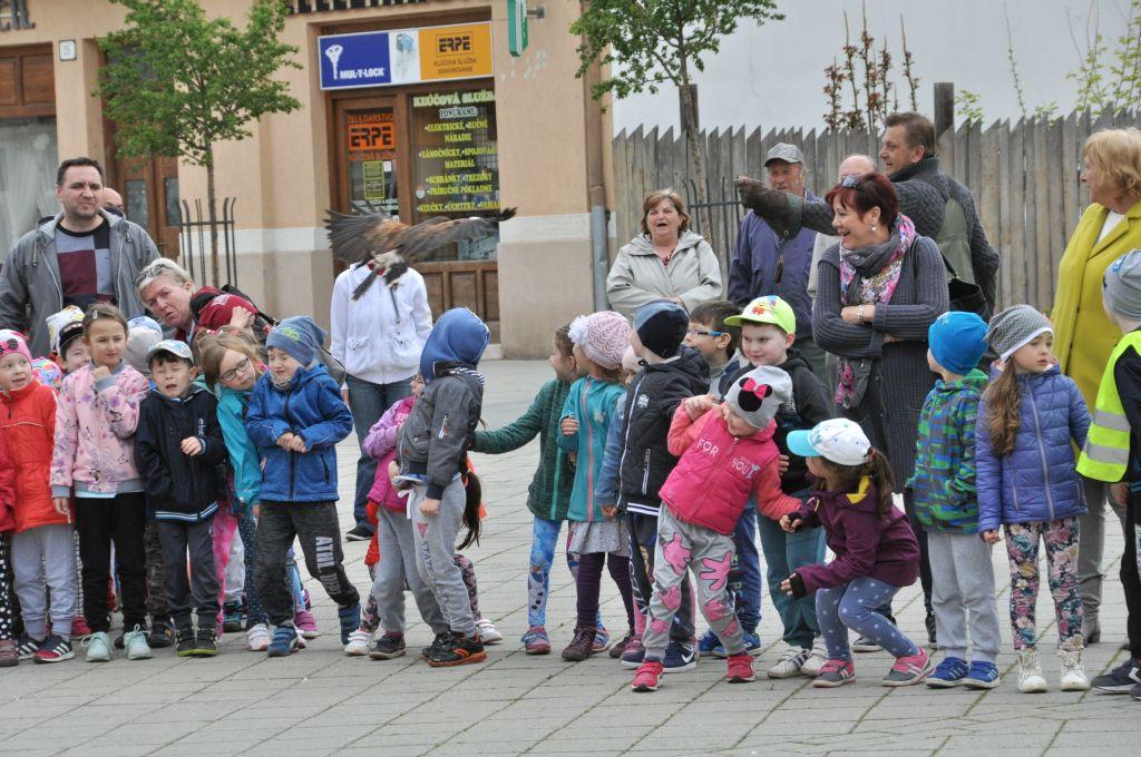 Fotogaléria Vystúpenie sokoliarov na Námestí M. R. štefánika (5) Vystúpenie sokoliarov na Námestí M. R. štefánika