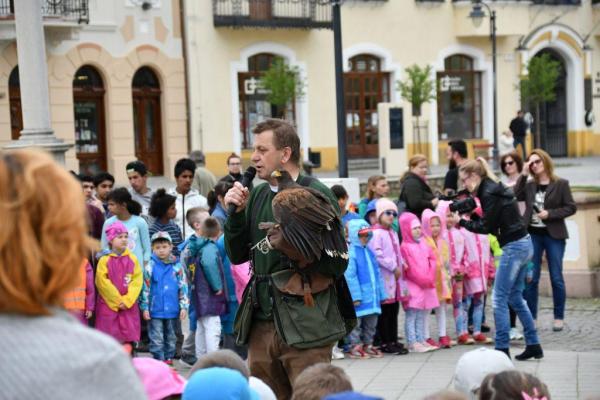 Vystúpenie sokoliarov na Námestí M.R. Štefánika (f Vystúpenie sokoliarov na Námestí M.R. Štefánika (f