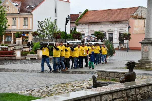 Stavanie Mája v Topoľčanoch Stavanie Mája v Topoľčanoch